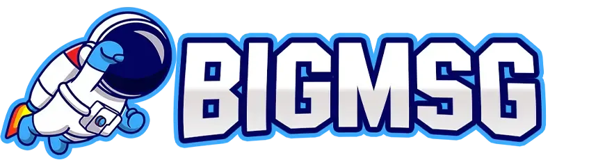 Logo bigmsg