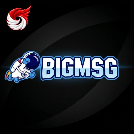 Layar panduan masuk akun bigmsg setelah APK terpasang di Android